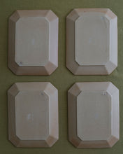 Load image into Gallery viewer, RAW See 8.8" Rectangle Plate